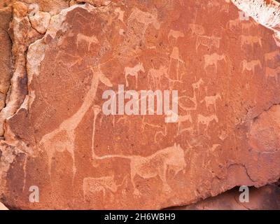 Prähistorische Bushman-Gravuren bei Twyfelfontein in Namibia Stockfoto