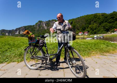 Senior-Mann mit Hund in einem Fahrradkorb Stockfoto