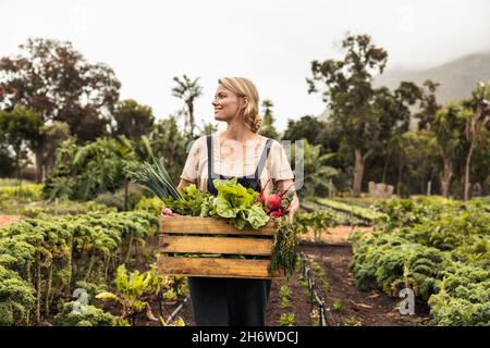 Lächelnde Bäuerin, die frisches Gemüse auf ihrer Farm sammelt. Glückliche junge Frau, die in ihrem Gemüsegarten eine Schachtel mit frischen Produkten hält. Erfolgreich o Stockfoto