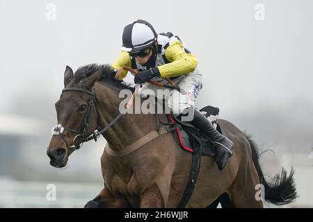 Datei-Foto vom 28-11-2020 von Next Destination Rided by Harry Cobden löscht den letzten, der auf der Rennbahn von Newbury die Verfolgungsjagd der Ladbrokes John Francome-Novizen gewinnt. Paul Nicholls ist zuversichtlich, dass Next Destination „bereit für sein Leben“ ist, da der Champion-Trainer am Samstag einen siebten Sieg in der Betfair Chase jagt. Ausgabedatum: Donnerstag, 18. November 2021. Stockfoto