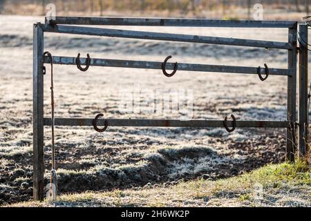 An einem sonnigen Wintermorgen hängen Hufeisen an einem metallenen Weidetor. Symbol für Glück, Glücksbringer im Pferdesport und Pferdezucht. Stockfoto