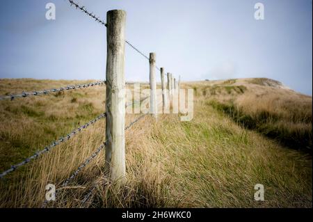 Stacheldrahtzaun zwischen einem Feld und einem Küstenpfad auf einer Klippe, Dorset, England, Großbritannien. Stockfoto