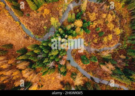 Luftlandschaft gelber Herbstwald mit mäandernem kleinen gewundenen Fluss mit Sonnenlicht, Draufsicht. Stockfoto