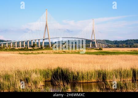 Gesamtansicht der Normandie-Brücke, einer Seilbahnbrücke über die seine zwischen Le Havre und Honfleur in Frankreich, von den Feuchtgebieten aus gesehen. Stockfoto