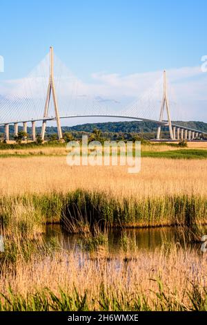 Gesamtansicht der Normandie-Brücke, einer Seilbahnbrücke über die seine zwischen Le Havre und Honfleur in Frankreich, von den Feuchtgebieten aus gesehen. Stockfoto