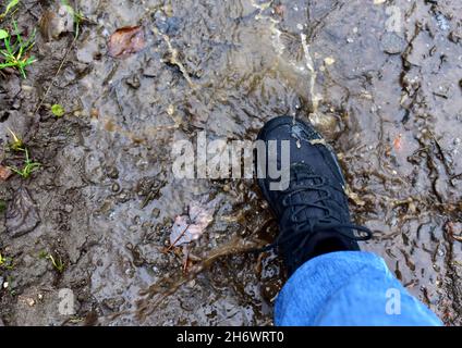 Wasserspritzer aus den Schuhen. Herrenfüße in Wanderschuhen treten in eine Pfütze. Regenschuhe für Mann oder Frau. Trekker Stiefel für kalte und wetterwehende Wanderungen. Stockfoto