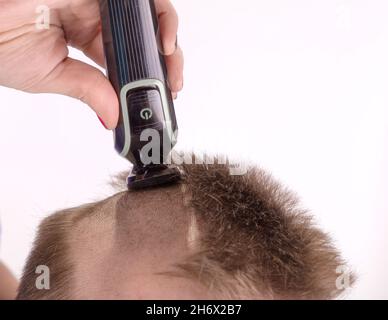 Scherkopf mit elektrischem Rasierer, Trimmer Stockfoto