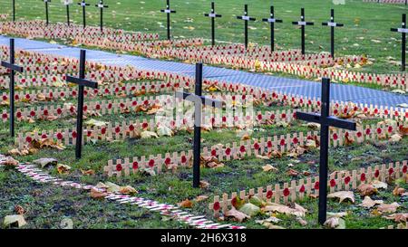 Victoria Westminster London England Großbritannien, 7 2021. November, Gedenktag Mohnblumen auf dem Gelände der Westminster Abbey City in Westminster Lond Stockfoto