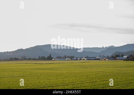 Ackerland in der Sumas Prärie in der Nähe des Distrikts Yarrow in der Stadt Chilliwack in British Columbia, Kanada. Stockfoto