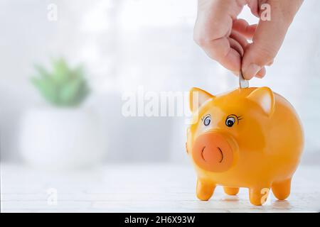 Sparschwein. Eine weibliche Hand legt Münzen in ein Sparschwein auf dem Hintergrund eines Fensters. Konzept der Ersparnisse, Zahlung eines Darlehens oder einer Investition. Speicherplatz kopieren. Stockfoto