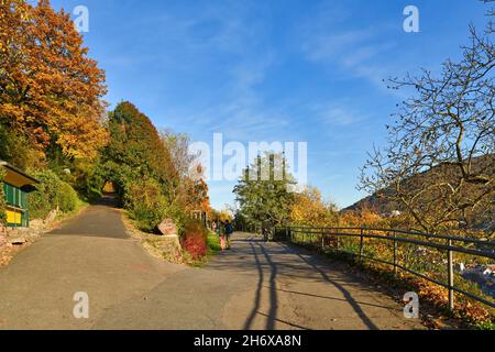 Heidelberg, Deutschland - November 2021: Pfad mit öffentlichen Gärten namens 'Philosophenweg' in der Heidelberger Stadt im Odenwald am sonnigen Herbsttag Stockfoto