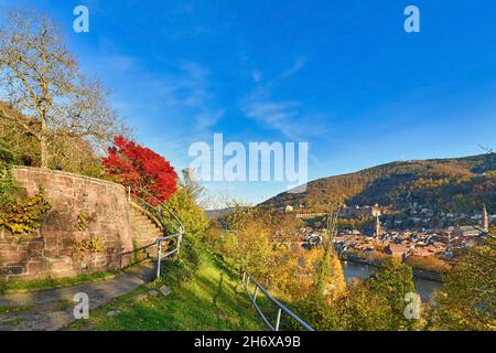 Pfad mit öffentlichen Gärten namens 'Philosophenweg' in der Heidelberger Stadt im Odenwald am sonnigen Herbsttag Stockfoto