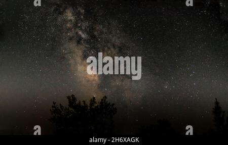Panoramaaufnahme des wunderschönen Sternenhimmels und der Bäume bei Nacht Stockfoto