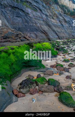 Mit Algen bedeckte Felsen an der Küste der Insel wight, abstrakte Insel wight, generische Klippen und Felsen, generische Meereslandschaft Stockfoto