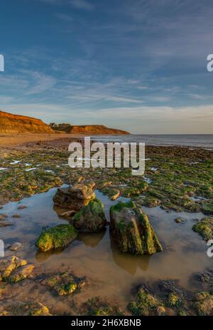 Algenbedeckte Felsen an der Küste der Insel wight im stimmungsvollen Abendlicht, Insel der küstenlandschaft von wight mit sandfarbenen Klippen. Stockfoto
