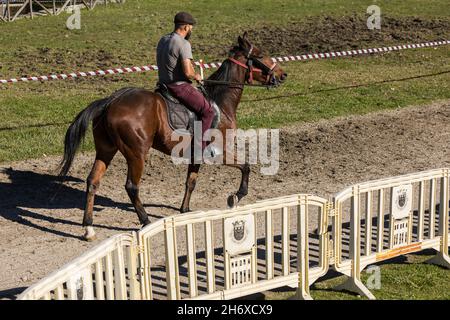 Vieira do Minho, Portugal - 14. November 2021: Amateur-Pferderennen im öffentlichen Park Vieira do Minho. Nahaufnahme eines Jockeys und seines braunen Pferdes auf der Strecke Stockfoto