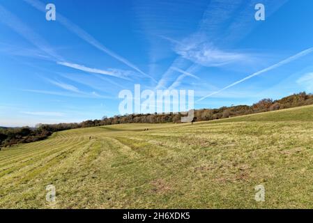 Flugzeuge kontrainern Muster am blauen Himmel über den Surrey Hills bei Newlands Corner in der Nähe von Guildford England Stockfoto