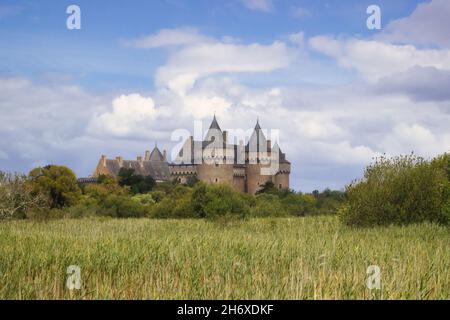 Schloss Suscinio bei Sarzeau im Département Morbihan in der Bretagne / Frankreich Stockfoto