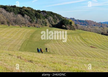 Die Albury Downs bei Newlands Corner mit Figuren, die an einem sonnigen Herbsttag in den Surrey Hills England in der Landschaft wandern Stockfoto