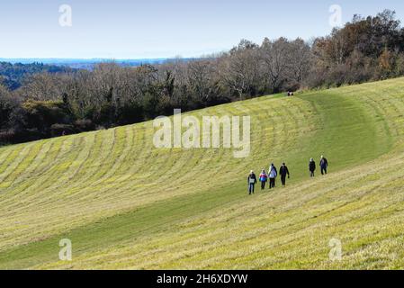 Die Albury Downs in Newlands Corner mit einer älteren Gruppe von Wanderern, die an einem sonnigen Herbsttag in den Surrey Hills in England durch die Landschaft wandern Stockfoto