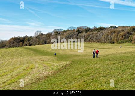 Die Albury Downs bei Newlands Corner mit Figuren, die an einem sonnigen Herbsttag in den Surrey Hills England in der Landschaft wandern Stockfoto