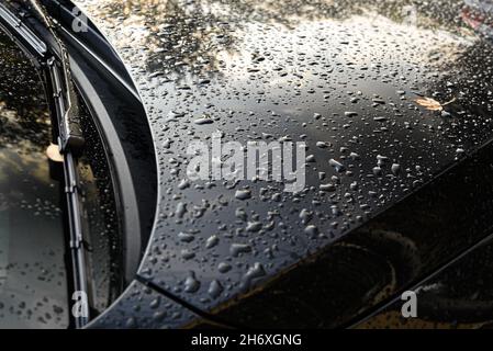 Wassertropfen auf der Motorhaube eines Autos nach Herbstregen Stockfoto