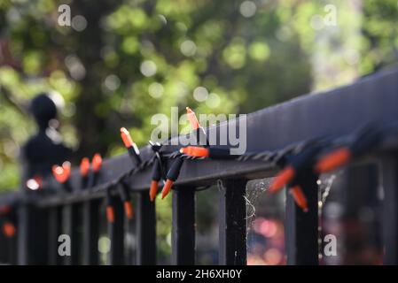 Nahaufnahme von halloween-Dekorationen - orange Sehnen und Spinnennetze - auf einem schwarzen Zaun Stockfoto