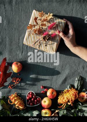 Orangefarbene Chrysanthemenblüten, trockenes Hasenschwanzgras, Kürbisse, Cranberry- und rote Eichenblätter. Eingepacktes Geschenk in der Hand. Herbstschmuck, Draufsicht im Dunkeln Stockfoto