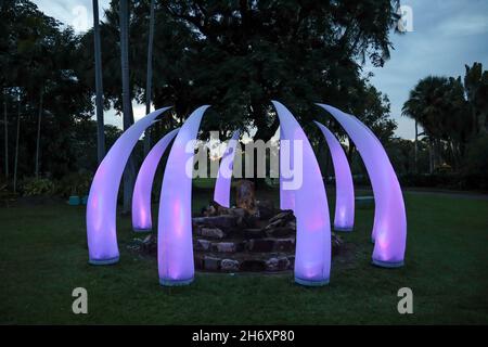 Lichtinstallation in den George Brown Darwin Botanic Gardens, Darwin, Northern Territory, Australien Stockfoto