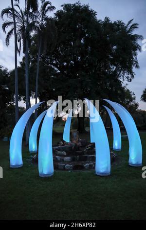 Lichtinstallation in den George Brown Darwin Botanic Gardens, Darwin, Northern Territory, Australien Stockfoto