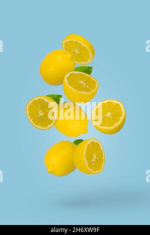 Saftig reife ganze und geschnittene Zitronen fliegen auf hellblauem Hintergrund. Kreatives Food-Konzept. Tropische Bio-Früchte, Zitrusfrüchte, Vitamin C. Minimaler Sommer Stockfoto