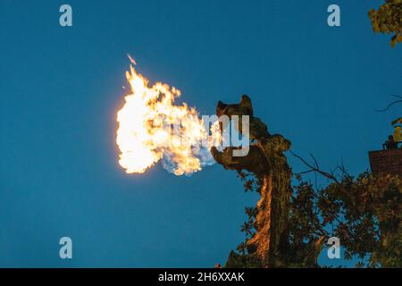 Krakau, Smok Wawelski - Waweldrache Stockfoto