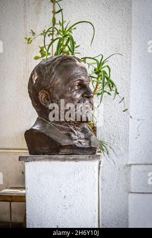 07 19 2019 Tiflis Georgien   Prinz Ilia Chavchavadze- georgische Journalistin und Dichterin - Büste auf Sockel gegen Stuckwand und Pflanze. Stockfoto