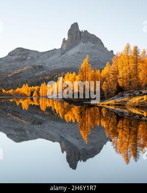 Malerischer Blick auf den Federa Lake bei Sonnenaufgang. Herbstliche Berglandschaft mit Federasee und leuchtend orangefarbenen Lärchen in den Dolomiten Apls, Cortina D'Ampezzo, Südtirol, Dolomiten, Italien Stockfoto