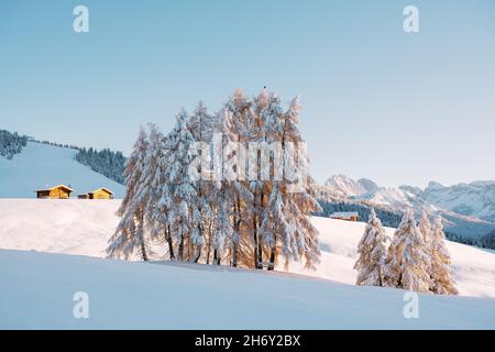 Malerische Landschaft mit kleinen Holzhäusern, Hütten oder Blockhütten auf der Seiser Alm, Seiser Alm, Dolomiten, Italien. Verschneite Hügel mit orangefarbener Lärche und Dolomitengipfel Stockfoto