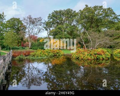 Savill Gardens Windsor Great Park Egham Surrey Stockfoto