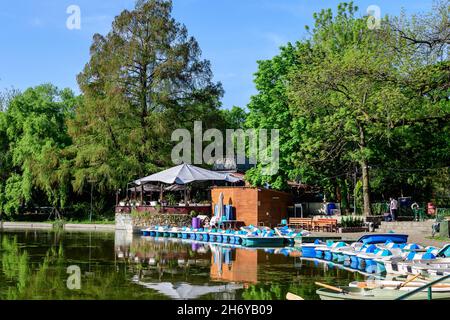 Lebendige grüne Landschaft mit alten großen Linden und kleinen Booten in der Nähe des Sees im Cismigiu Garten (Gradina Cismigiu), einem öffentlichen Park im Stadtzentrum Stockfoto