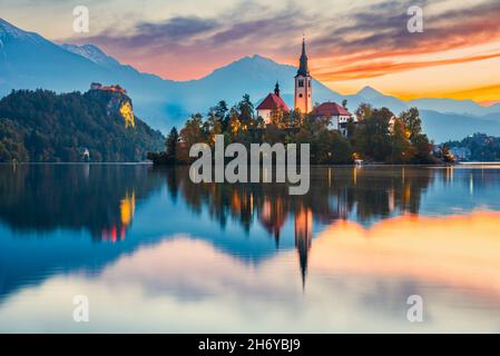 Bled, Slowenien. Erstaunlicher Sonnenaufgang auf Bled See, Insel und Kirche mit den Julischen Alpen im Hintergrund, Europa. Stockfoto