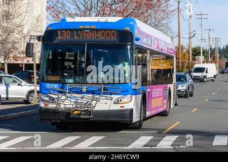 Edmonds, WA, USA - 17. November 2021; Community Transit Bus Service in Edmonds. Das blau-weiße Transitfahrzeug wird an einem Fußgängerüberweg angehalten Stockfoto