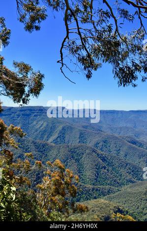 Ein Blick auf die New England Tablelands vom Point Lookout, NSW Stockfoto