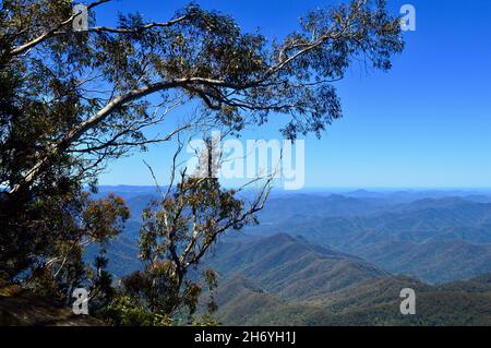 Ein Blick auf die New England Tablelands vom Point Lookout, NSW Stockfoto