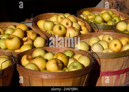 Apfelkörbe zum Verkauf an einem Straßenstand im ländlichen Velarde, New Mexico, am Rio Grande. Stockfoto