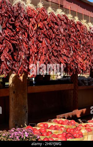 Rote Chilischoten, die als Ristras bezeichnet werden, werden an einem Stand am Straßenrand in Velarde, New Mexico, verkauft. Stockfoto