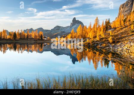 Malerischer Blick auf den Federa Lake bei Sonnenaufgang. Herbstliche Berglandschaft mit Federasee und leuchtend orangefarbenen Lärchen in den Dolomiten Apls, Cortina D'Ampezzo, Südtirol, Dolomiten, Italien Stockfoto