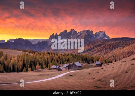 Unglaublicher roter Sonnenuntergang im Fuchiade-Tal in der Landschaft der italienischen Dolomiten. Holzhütten, orangefarbene Lärchen Wald und schneebedeckte Berge Gipfel im Hintergrund. Dolomiten, Italien Stockfoto
