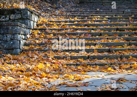 Herbstblätter vor einer großen Steintreppe, angesammelt durch den kalten Wind, die letzten Strahlen des Sonnenuntergangs Stockfoto