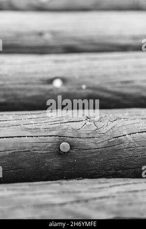 Vertikale Graustufen selektiver Fokus schoss einen Nagel in einem Holzbalken Stockfoto