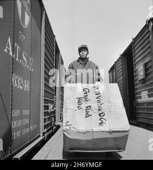 Hortense W. Thompson, eine von mehreren Frachtenhandlern, die bei Atchison, Topeka und Santa Fe Freight Depot, Kansas City, Missouri, USA, beschäftigt sind, Jack Delano, U.S. Farm Security Administration, U.S. Office of war Information Photograph Collection, März 1943 Stockfoto