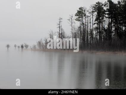Schöne Aufnahme einer Meereslandschaft in Graustufen Stockfoto