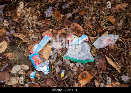 Ein Haufen Müllabfall vom Mittagessen, der von einem rücksichtslosen Wanderer oder Jäger in den Adirondack Mountains, NY USA, fallen gelassen wurde. Stockfoto